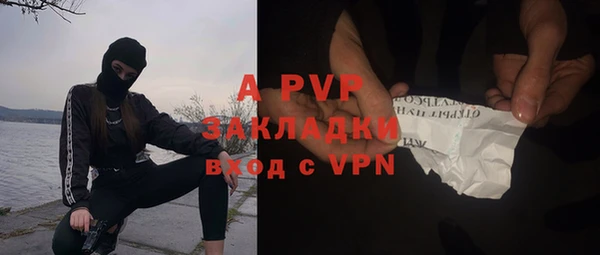твердый Белокуриха