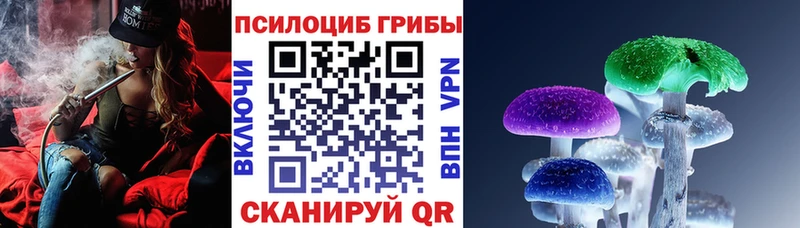 Купить где Невьянск Галлюциногенные грибы мухоморы